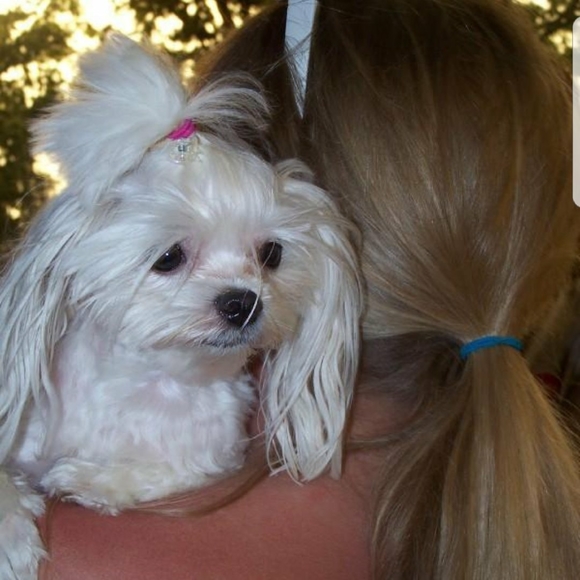 Meet your Posher, Jenny - Picture 1 of 1